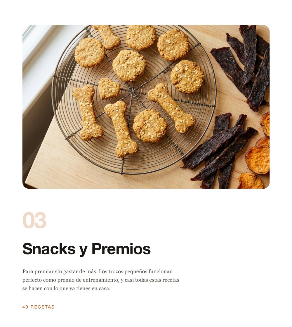 Sección de premios y snacks caseros